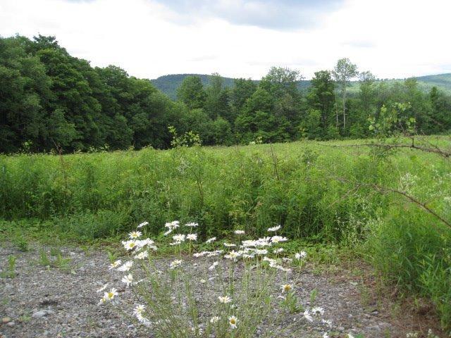 401 Roscoe Jones Road Middlefield, NY 13326 - Photo 1 of 1 Gallery Image 1
