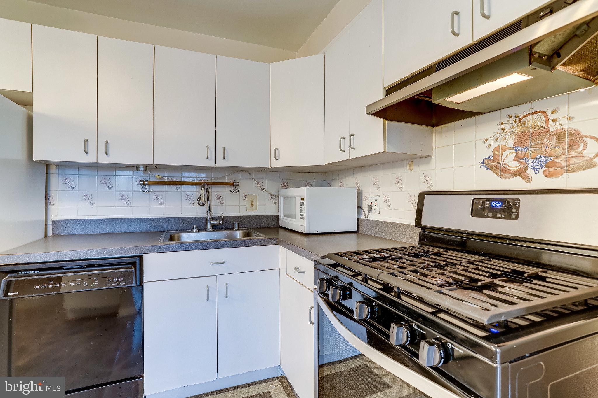 5017 7th Road South, Unit 201 Arlington, VA 22204 - Photo 5 of 31