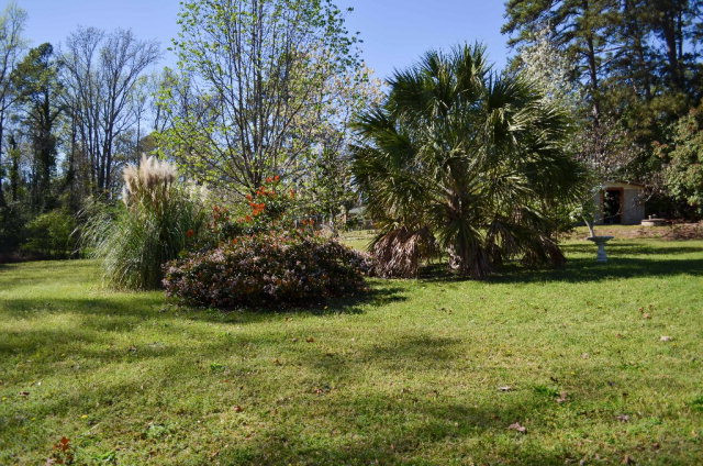 4432 Owens Road Evans, GA 30809 - Photo 17 of 22 Garden