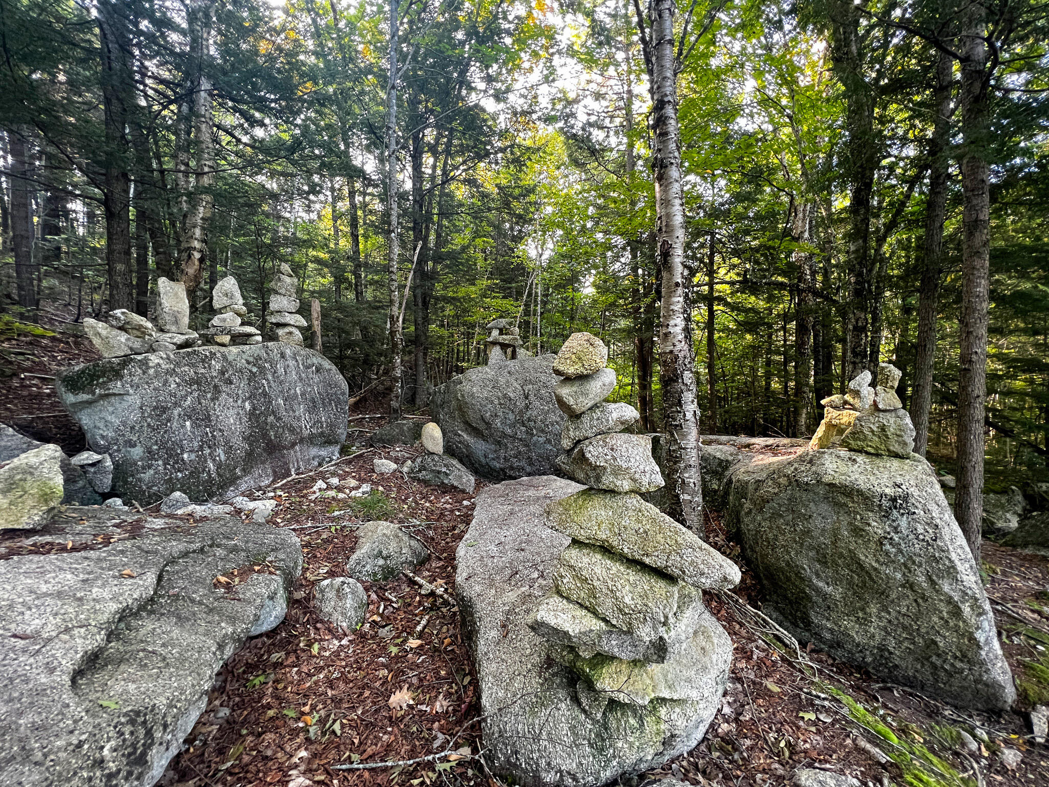 20 Asgard Road Lakeville, ME 04487 - Photo 38 of 43 34