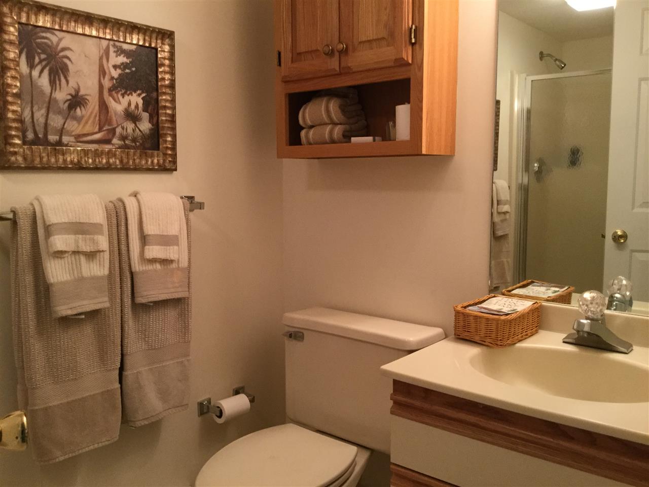 50 Patch Pond Road, Unit 19 Ossipee, NH 03814 - Photo 15 of 24