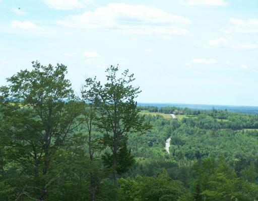 79 Cross Road Greenbush, ME 04418 - Photo 17 of 21 View.