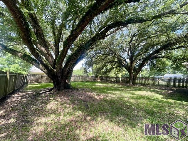 206 Back Project Road Schriever, LA 70395 - Photo 6 of 38