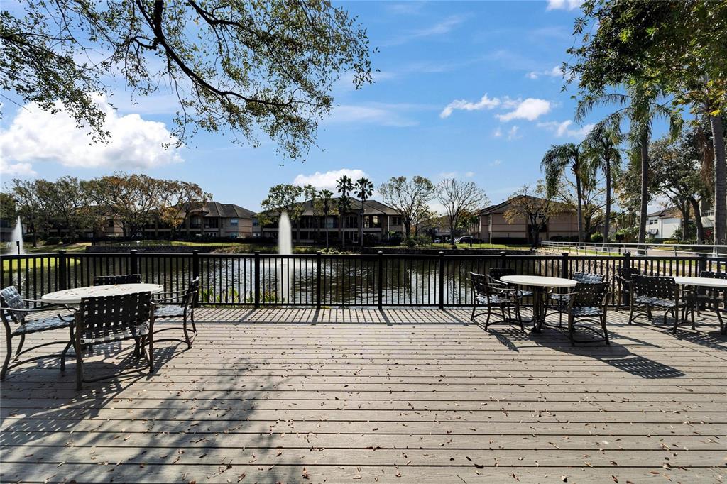 845 Normandy Trace Road Tampa, FL 33602 - Photo 24 of 53