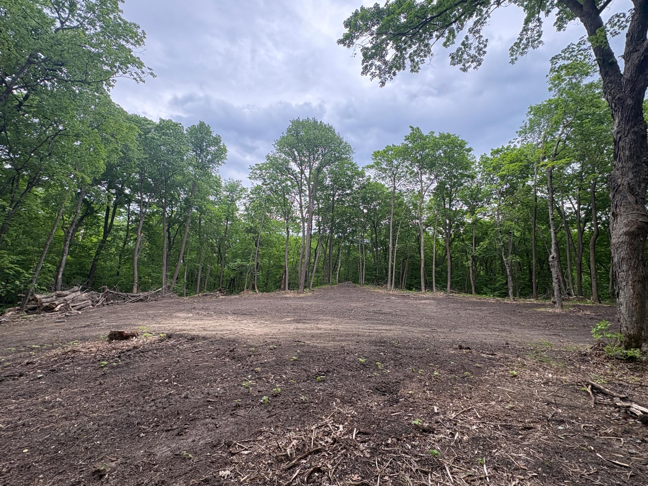 Tbd 380th Street Dent, MN 56528 - Photo 24 of 33