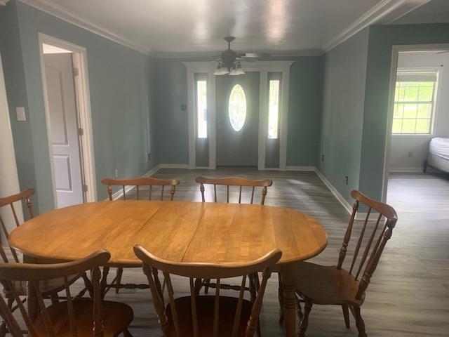 1955 Bruton Road Savannah, TN 38372 - Photo 11 of 20 Gallery Image 11