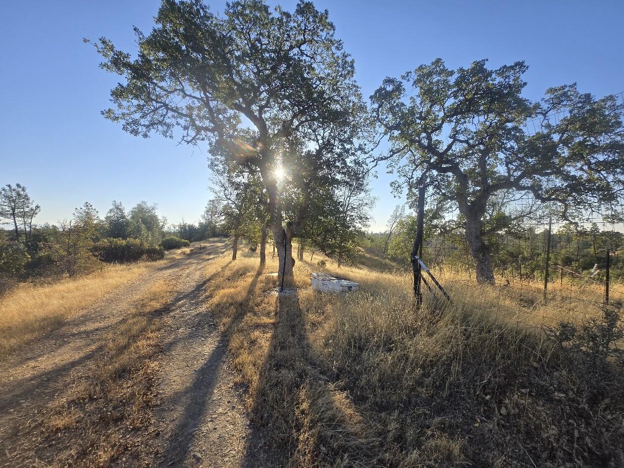 Coal Pit Road Anderson, CA 96007 - Photo 4 of 11 ENTERING PROPERTY