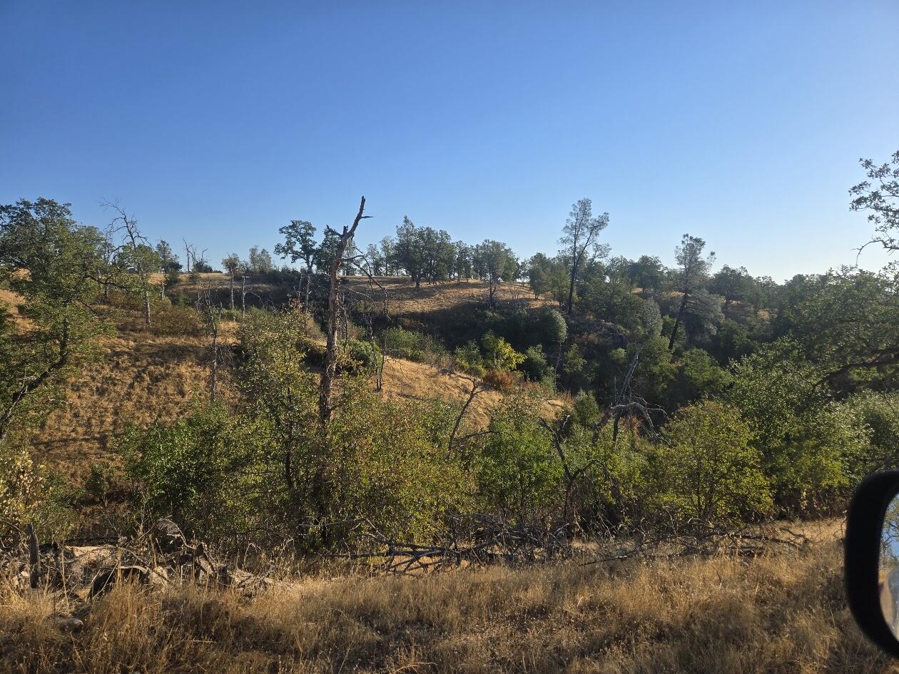 Coal Pit Road Anderson, CA 96007 - Photo 6 of 11 looking at ridge