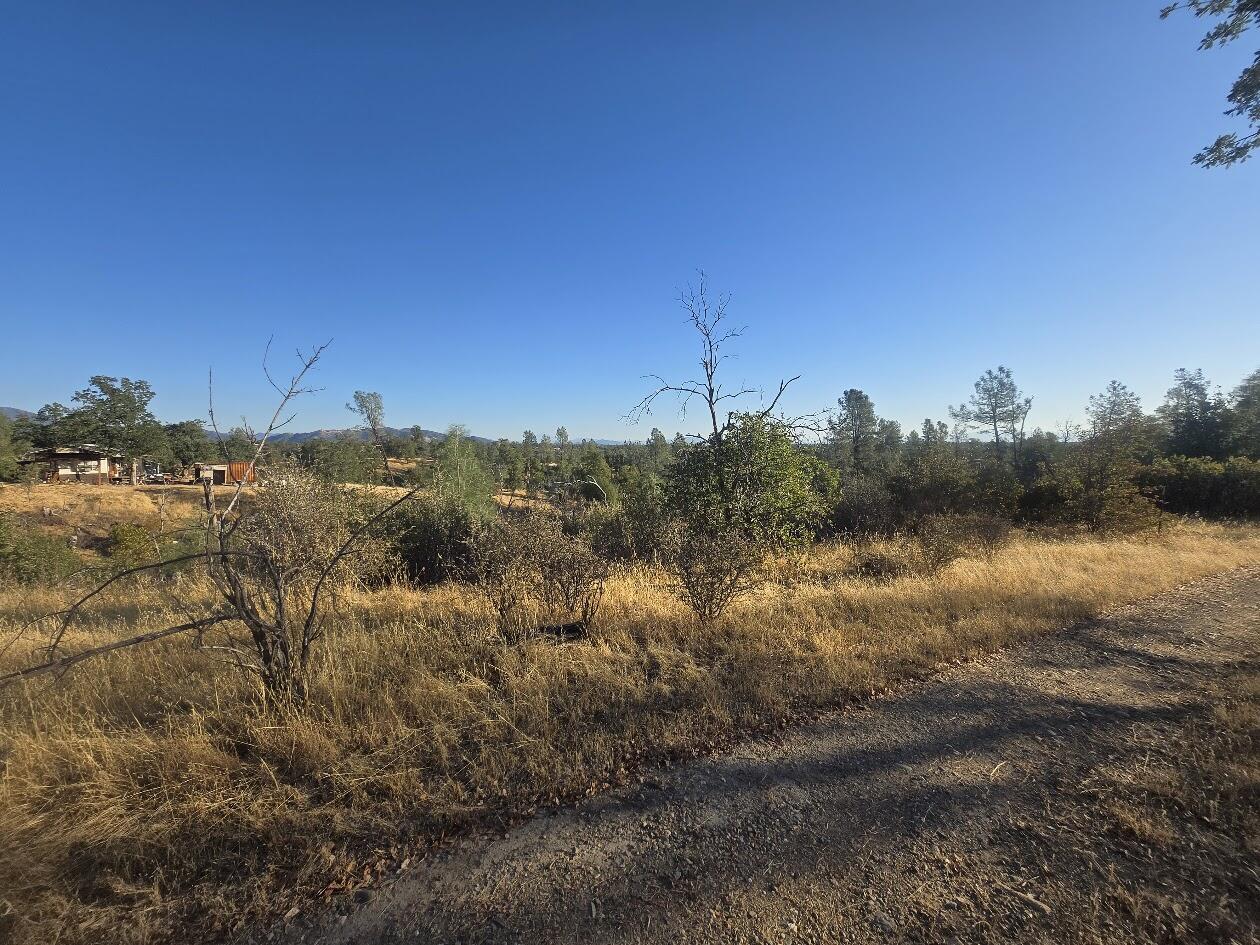 Coal Pit Road Anderson, CA 96007 - Photo 10 of 11 ON PROPERTY LOOKING AT NEIGHBOR