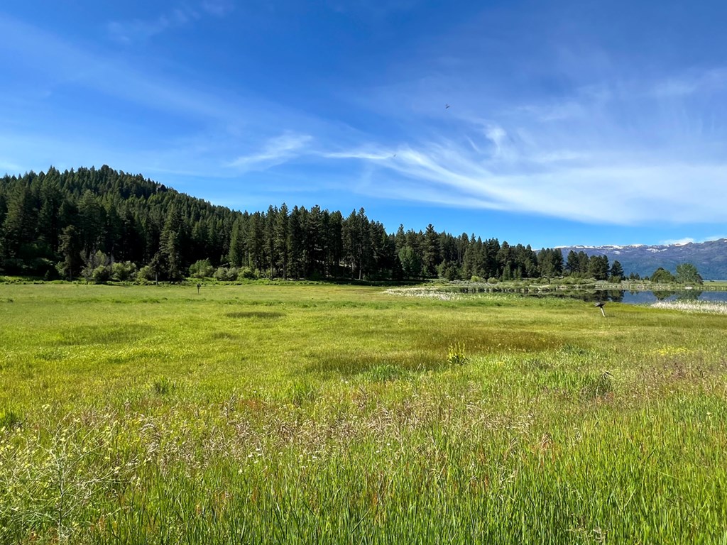 1765 Pine Lakes Ranch Drive Cascade, ID 83611 - Photo 14 of 21 Listen to the Wind in the Grass