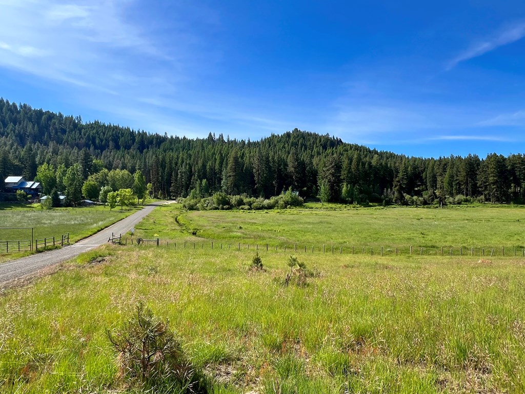 1765 Pine Lakes Ranch Drive Cascade, ID 83611 - Photo 15 of 21 Beautiful Neighborhood