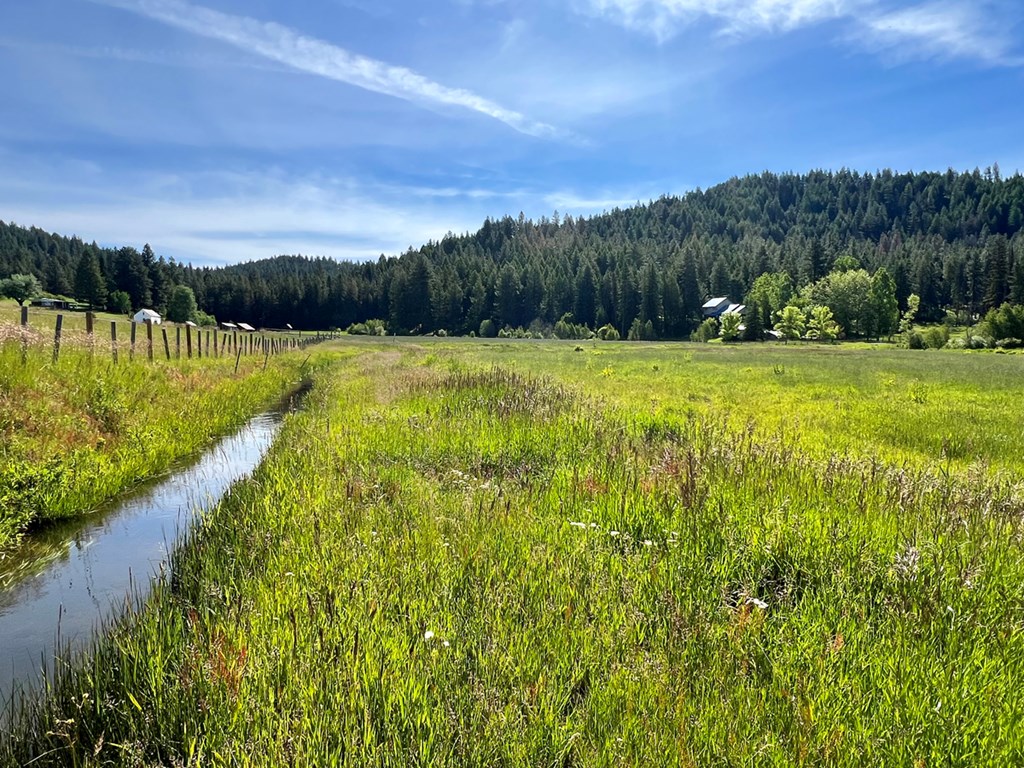 1765 Pine Lakes Ranch Drive Cascade, ID 83611 - Photo 6 of 21 Partially Fenced Property