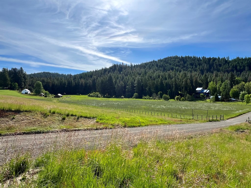 1765 Pine Lakes Ranch Drive Cascade, ID 83611 - Photo 8 of 21 Take in Rural Life