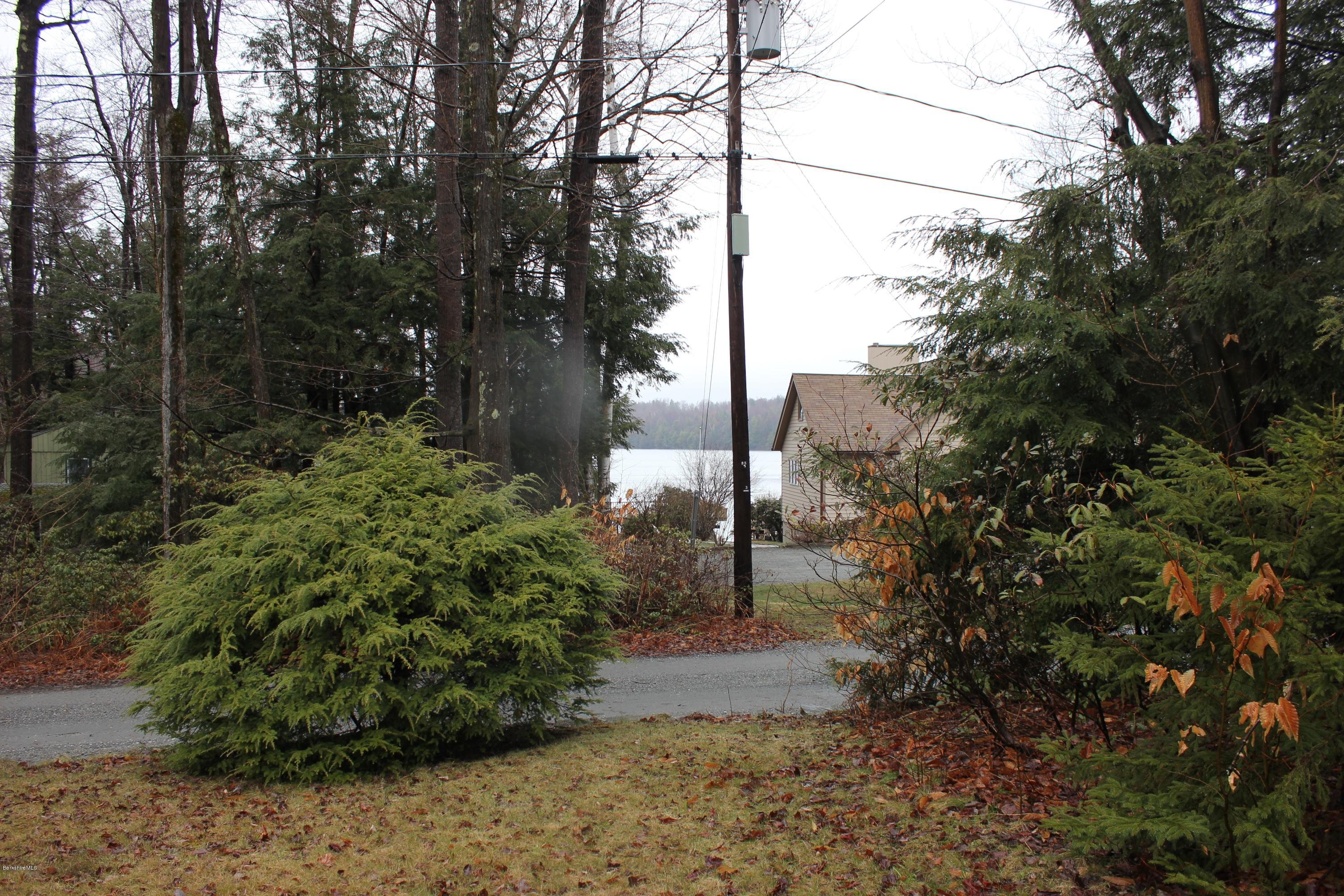 40 Williams Road Becket, MA 01223 - Photo 4 of 18 a view of a yard with plants and large trees