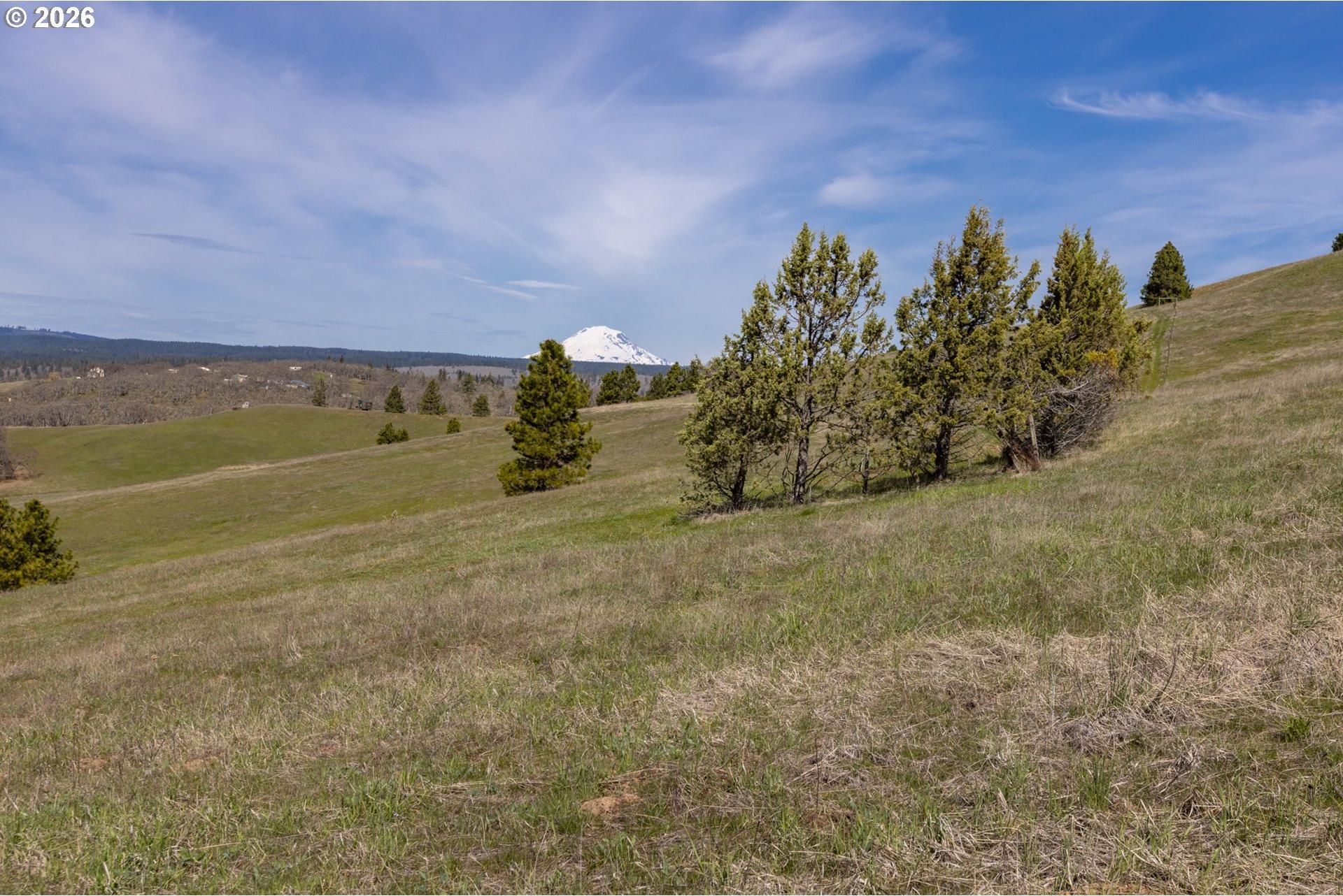 60 Hartwig Road Lyle, WA 98635 - Photo 29 of 44 Gallery Image 29