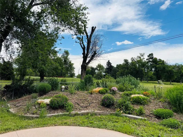 a view of a park with large trees