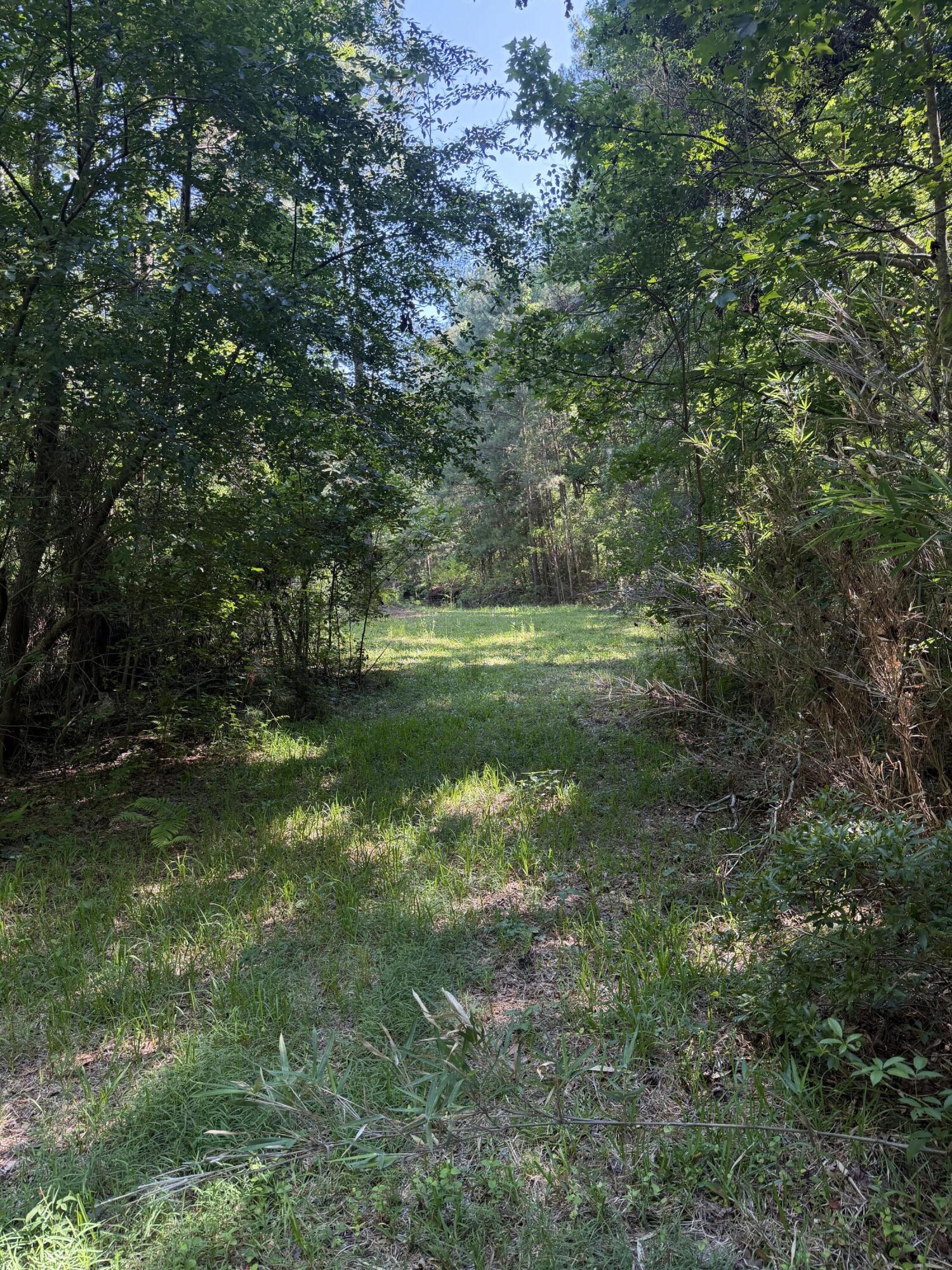 3125 State Road Ridgeville, SC 29472 - Photo 14 of 18 IMG_0957