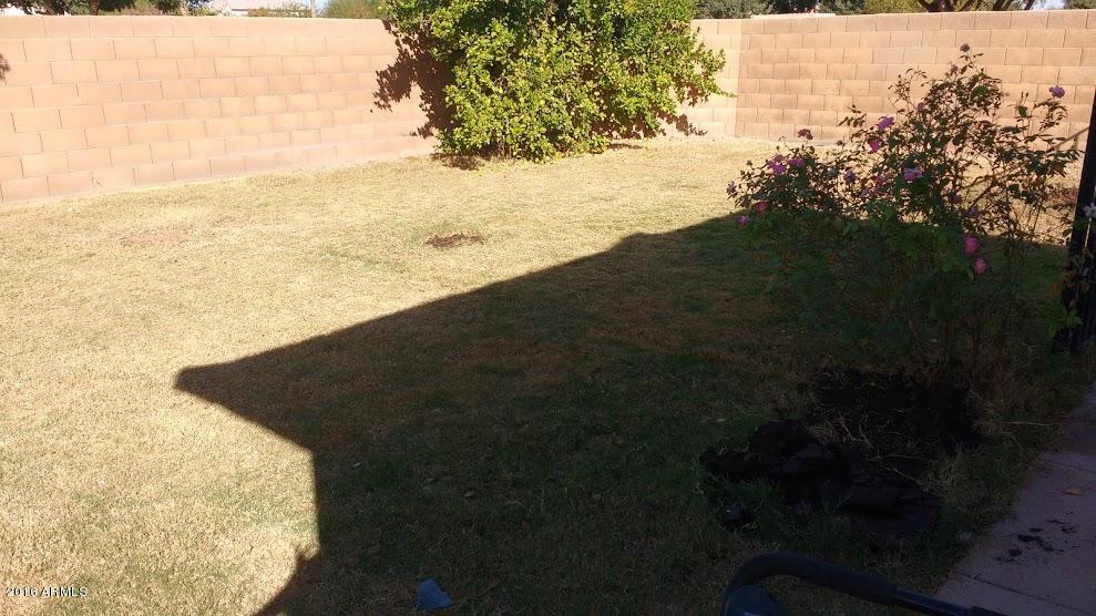8908 West Payson Road Tolleson, AZ 85353 - Photo 26 of 27 Payson Road Back yard