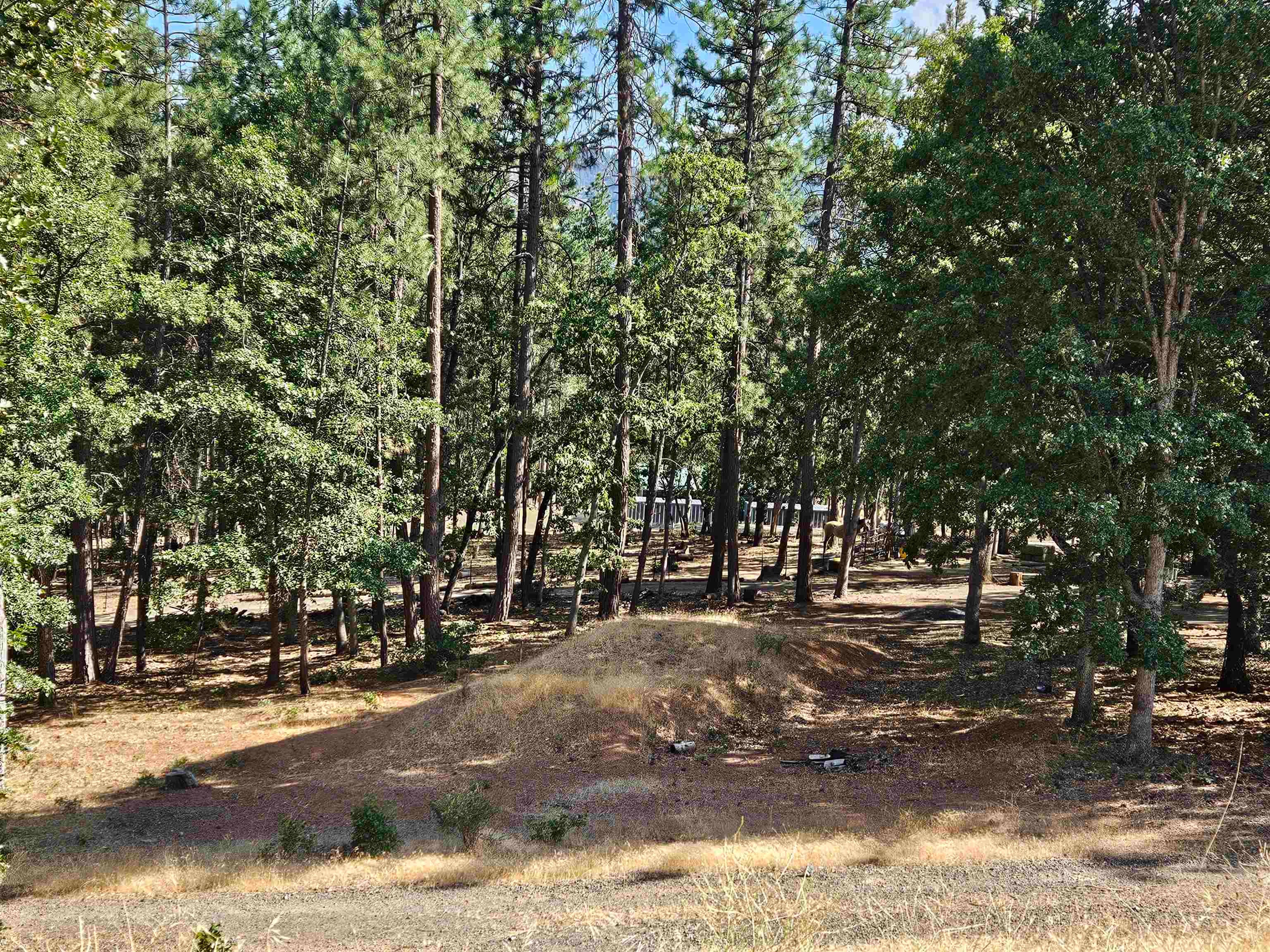 13239 Rocky Road Fort Jones, CA 96032 - Photo 38 of 39 Gallery Image 38