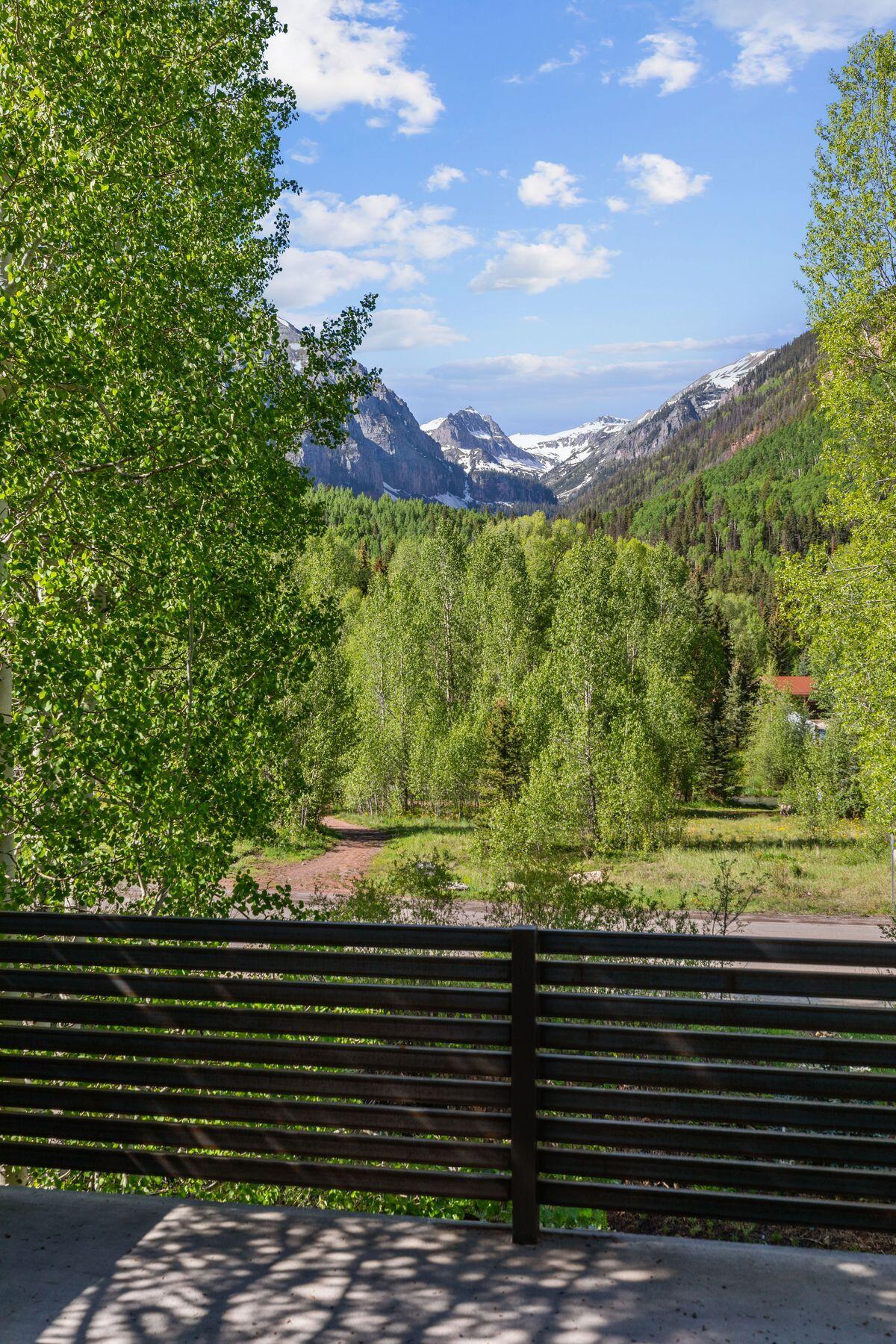 731 Shadow Lane Telluride, CO 81435 - Photo 67 of 73 photo_offline_004