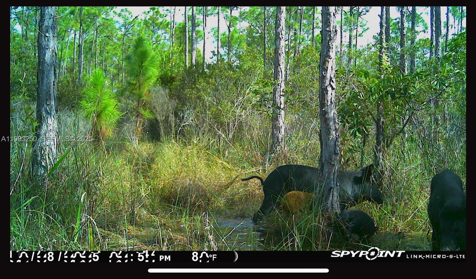0 Unassigned Stuart, FL 34997 - Photo 15 of 15 a view of a garden