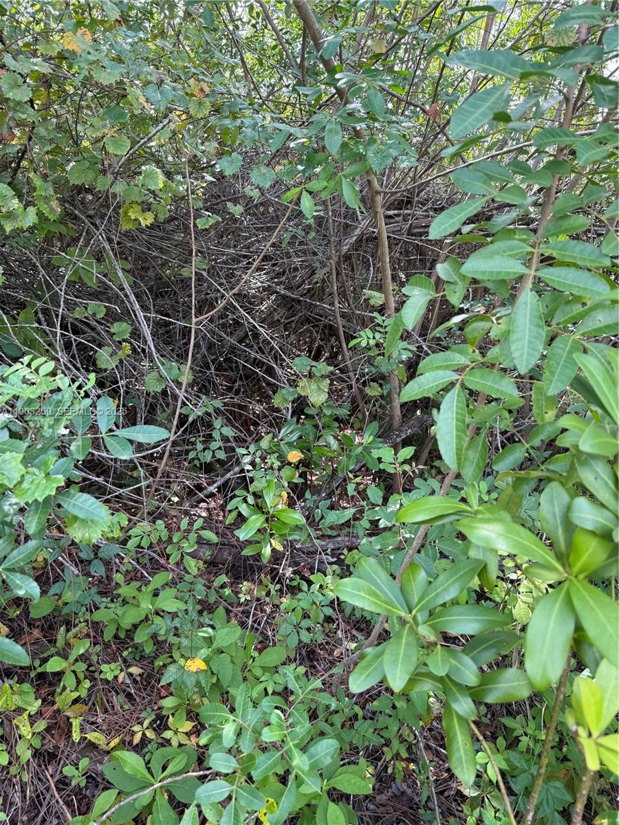 0 Unassigned Stuart, FL 34997 - Photo 5 of 15 a backyard of a house with lots of green space and a fountain