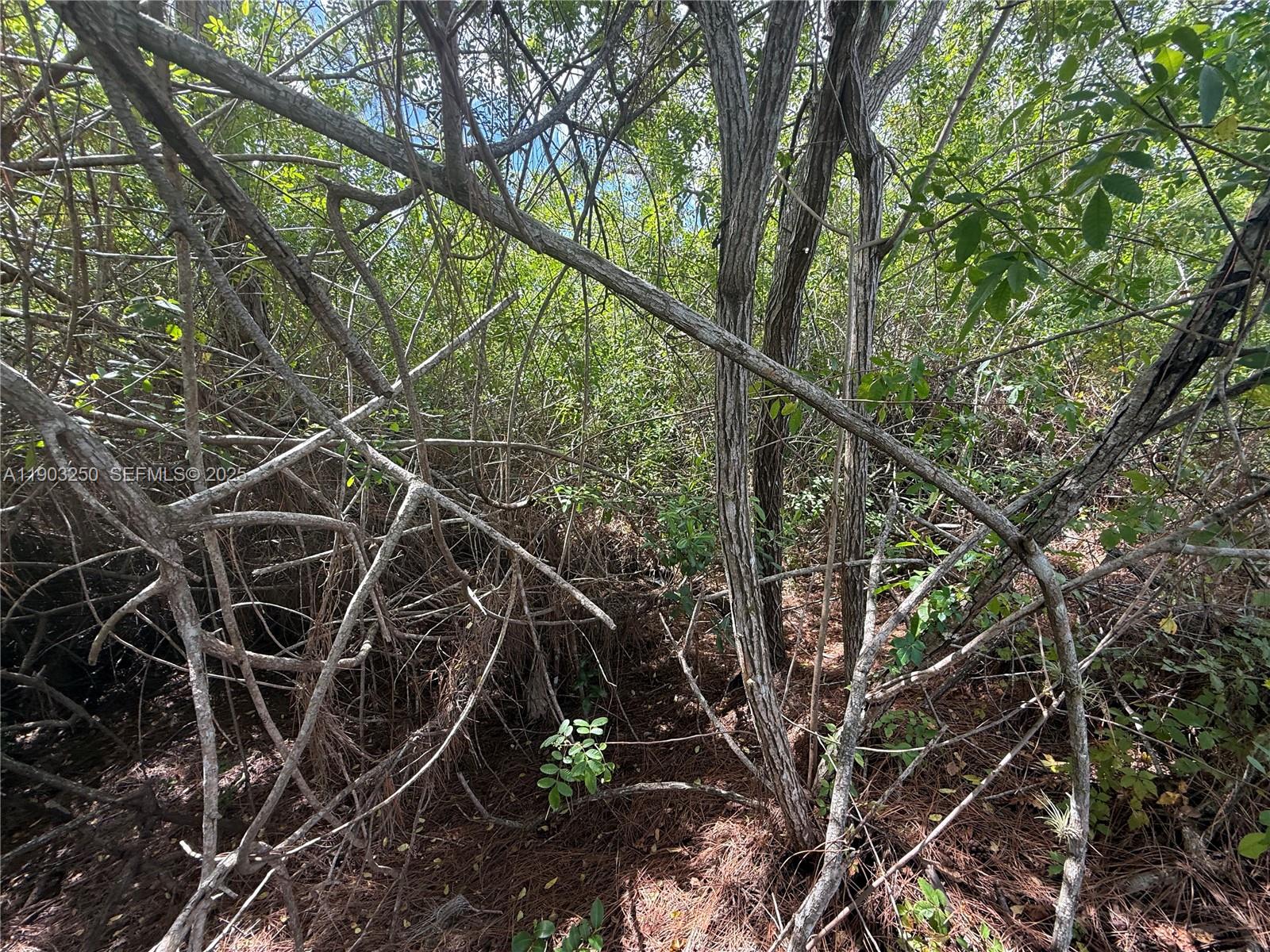 0 Unassigned Stuart, FL 34997 - Photo 7 of 15 a backyard of a house with lots of green space and tennis court