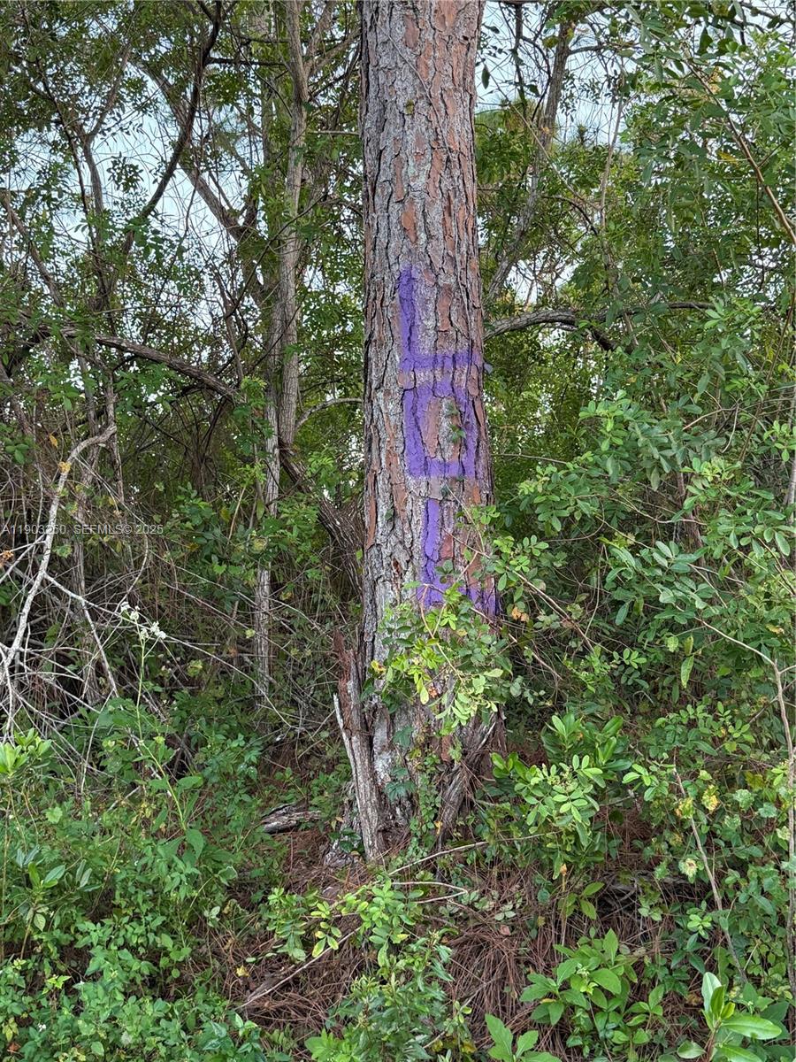 0 Unassigned Stuart, FL 34997 - Photo 8 of 15 a backyard of a house with lots of green space