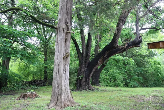 $350,000 | 88 South Railroad Avenue, Carlton, GA 30627