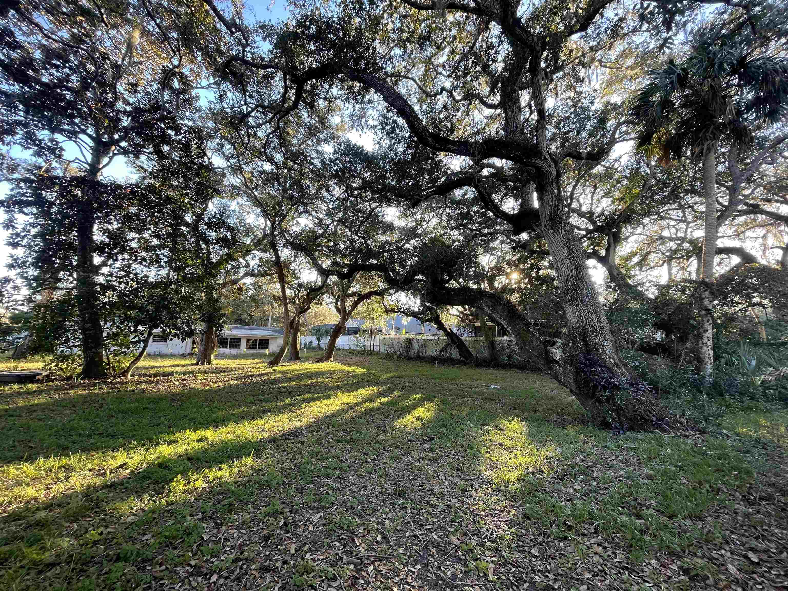 697 Pope Road St. Augustine Beach, FL 32080 - Photo 5 of 5 Gallery Image 5