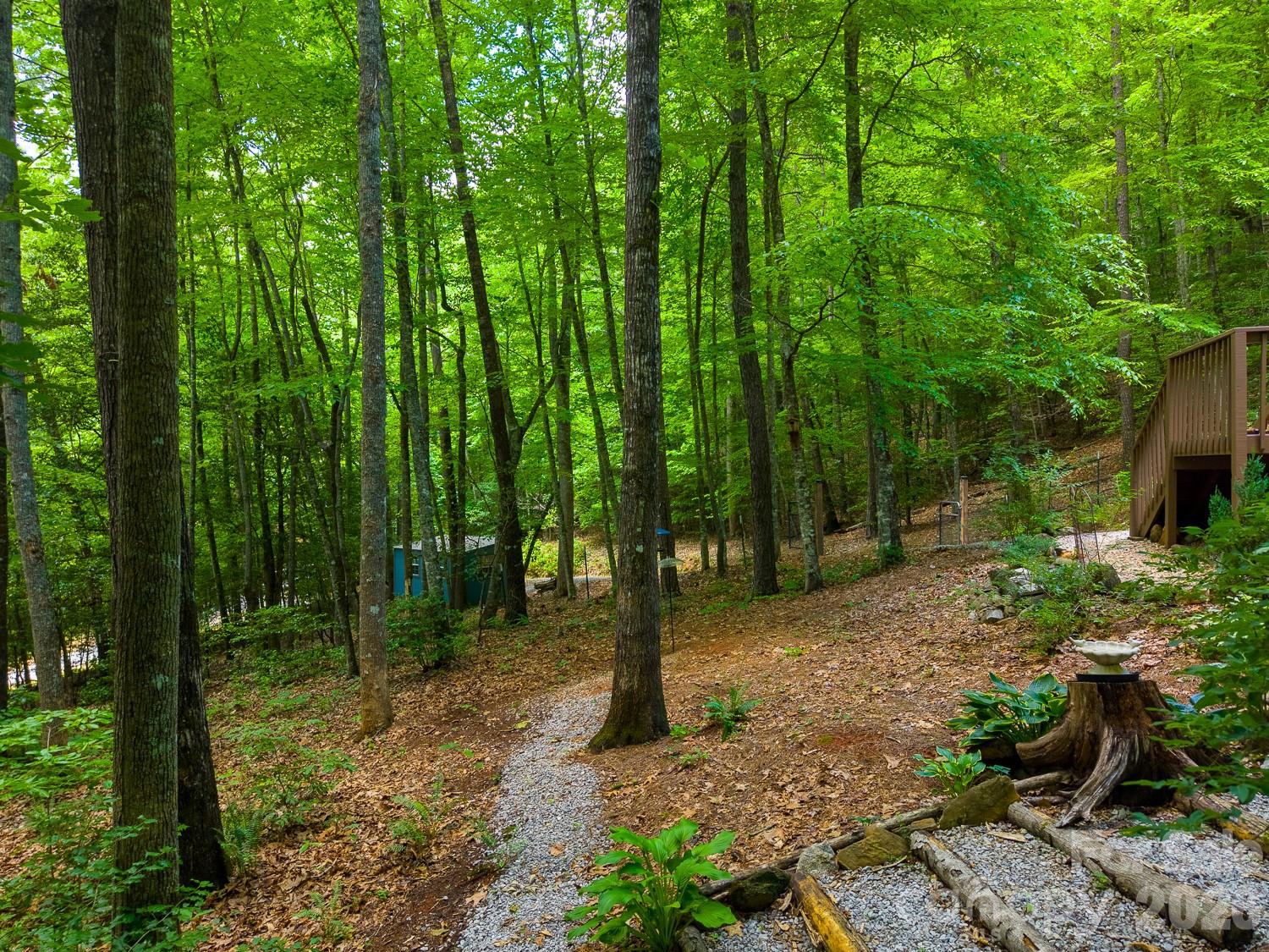243 Jonquil Wds Road Franklin, NC 28734 - Photo 40 of 48