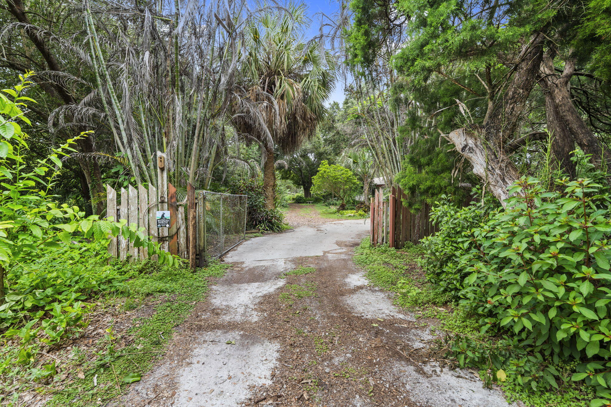 3603 Kirby Loop Road Fort Pierce, FL 34981 - Photo 6 of 61 6-web-or-mls-DSC09556