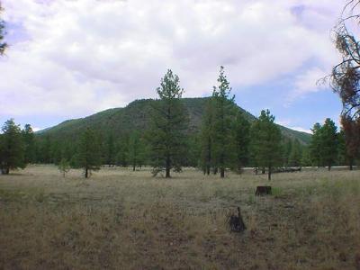 0 Lockett Ranches Tract 4h Flagstaff, AZ 86001 - Photo 1 of 5 Primary Photo