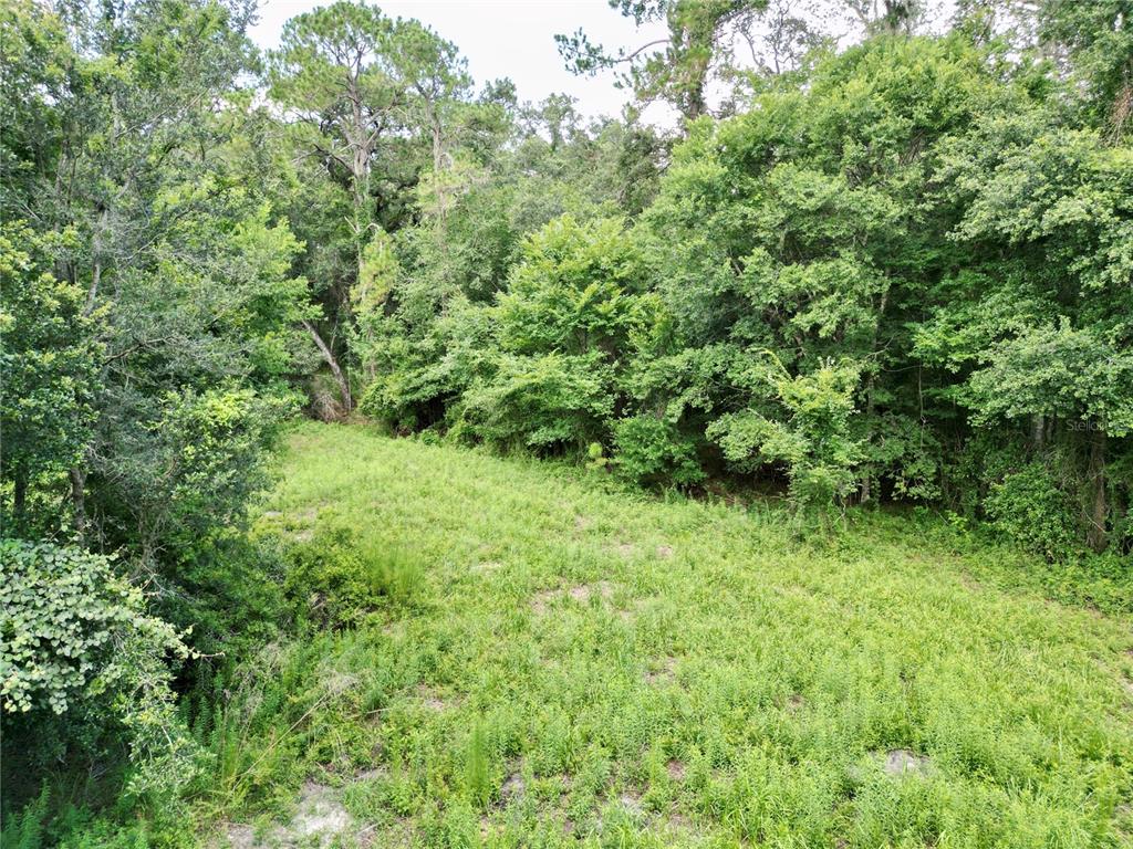 Tbd Southwest 31st Way Webster, FL 33597 - Photo 10 of 15 Gallery Image 10