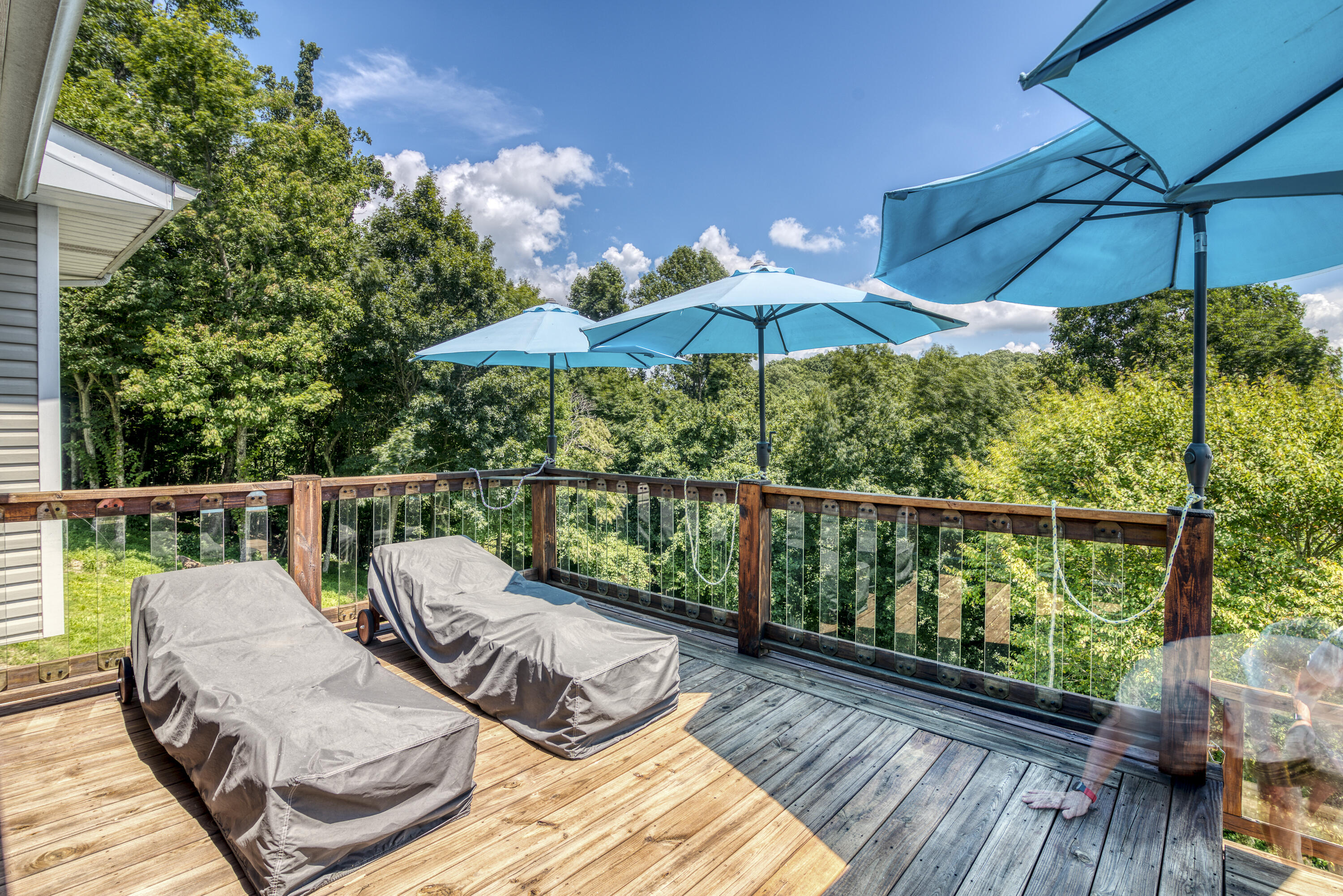 10436 Echo Lane Glade Spring, VA 24340 - Photo 16 of 73 10436-Echo-Glade-Spring-VA Matt-Smith-Re