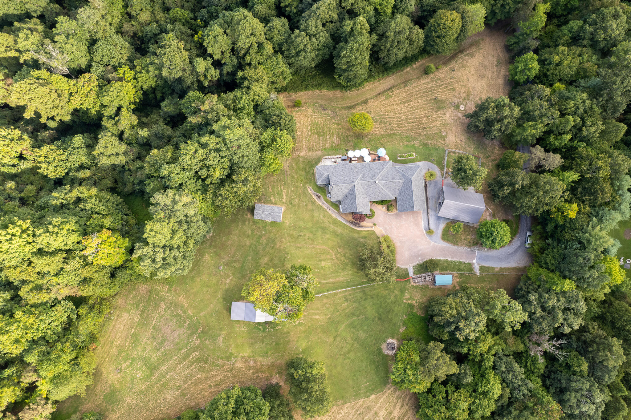 10436 Echo Lane Glade Spring, VA 24340 - Photo 4 of 73 DJI_0939