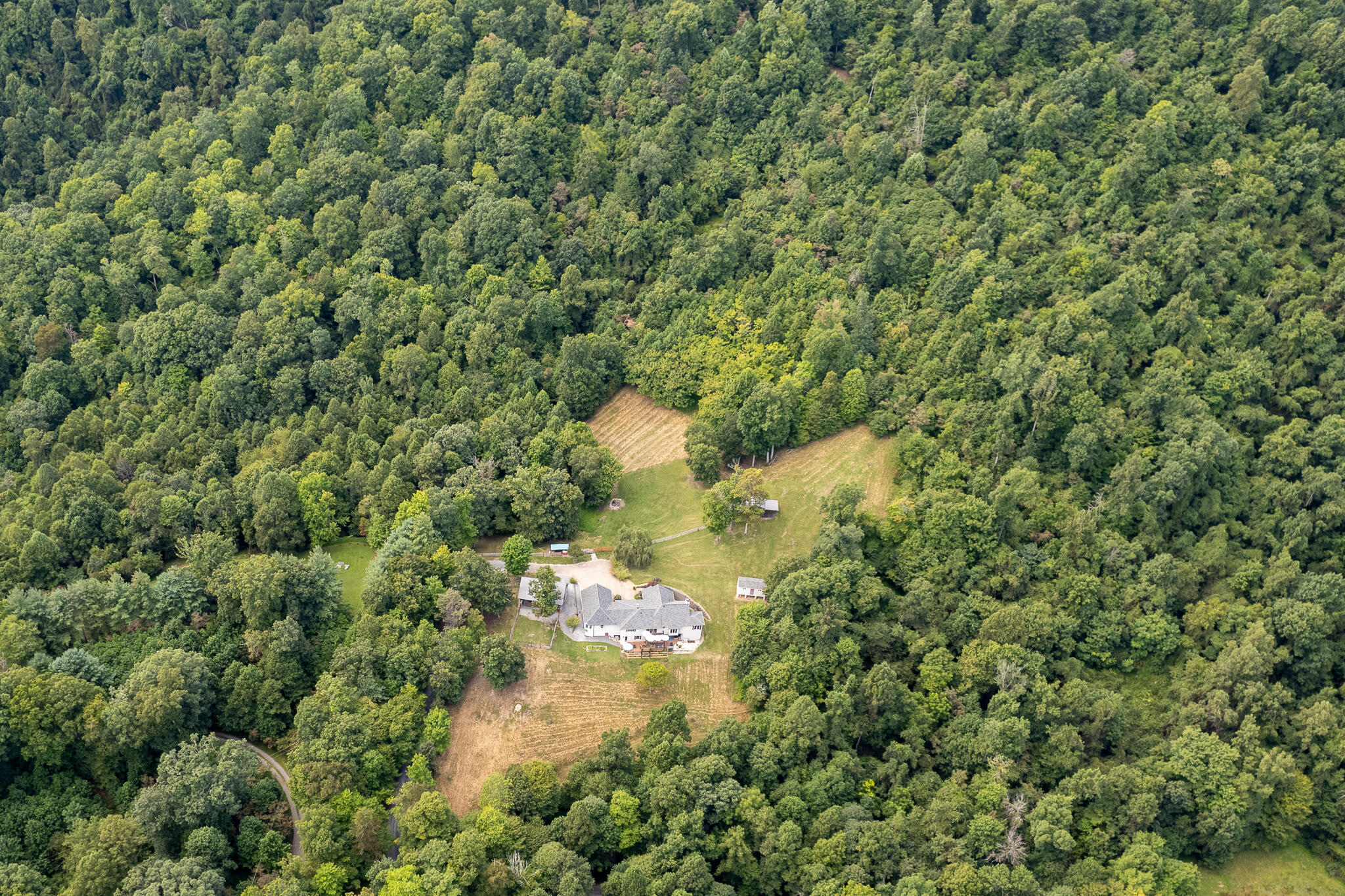 10436 Echo Lane Glade Spring, VA 24340 - Photo 6 of 73 DJI_0942