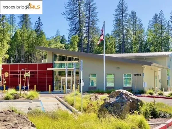 a view of outdoor space and yard