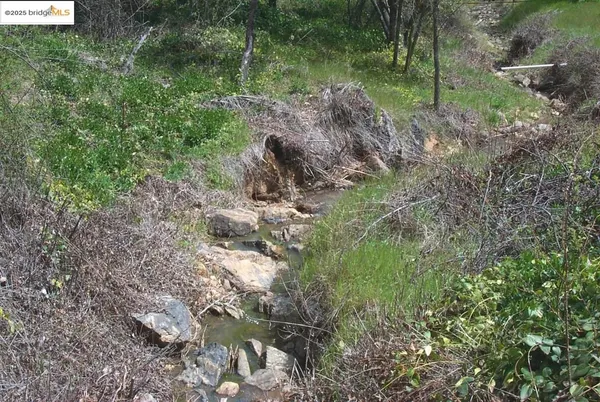 a view of statue in the garden