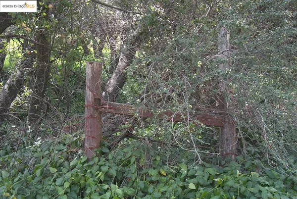a backyard of a house with a yard and outdoor seating