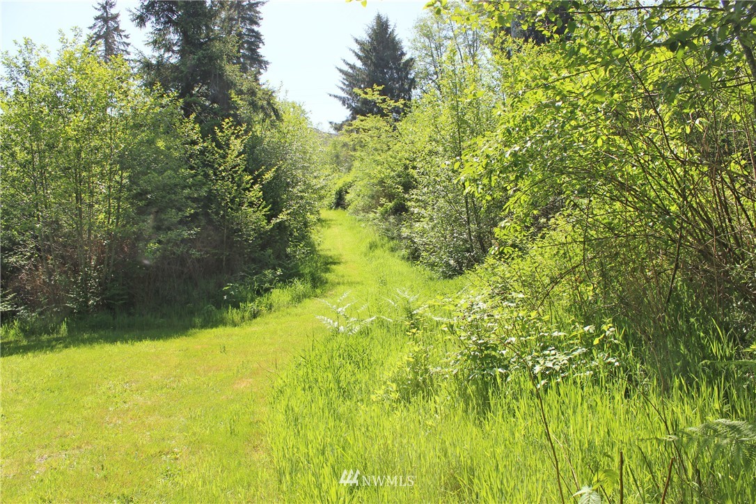 345 State Rt 107 Montesano, WA 98563 - Photo 2 of 12 Gallery Image 2