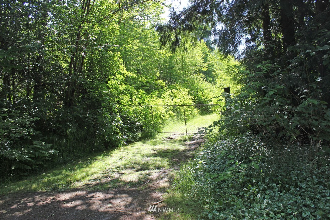 345 State Rt 107 Montesano, WA 98563 - Photo 3 of 12 Gallery Image 3
