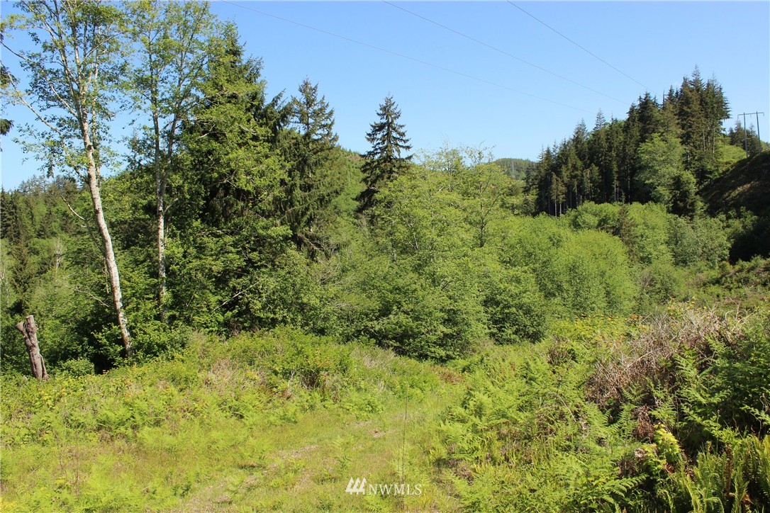 345 State Rt 107 Montesano, WA 98563 - Photo 9 of 12 Gallery Image 9