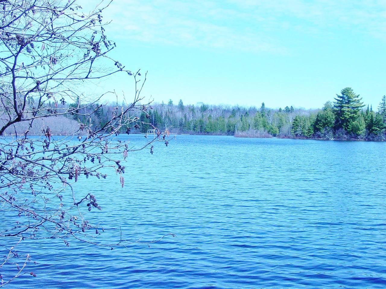 Lot 10 Rock Lake Road Presque Isle, WI 54557 - Photo 1 of 10 Gallery Image 1