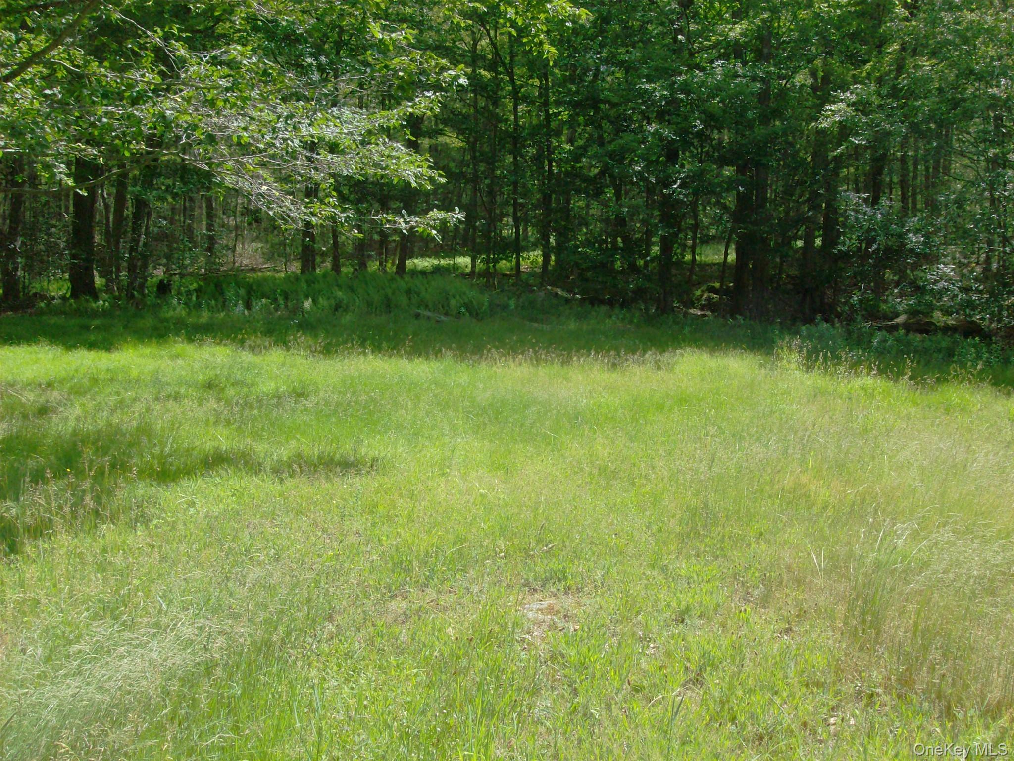 70 Bonnie Brook Road Roscoe, NY 12776 - Photo 6 of 33