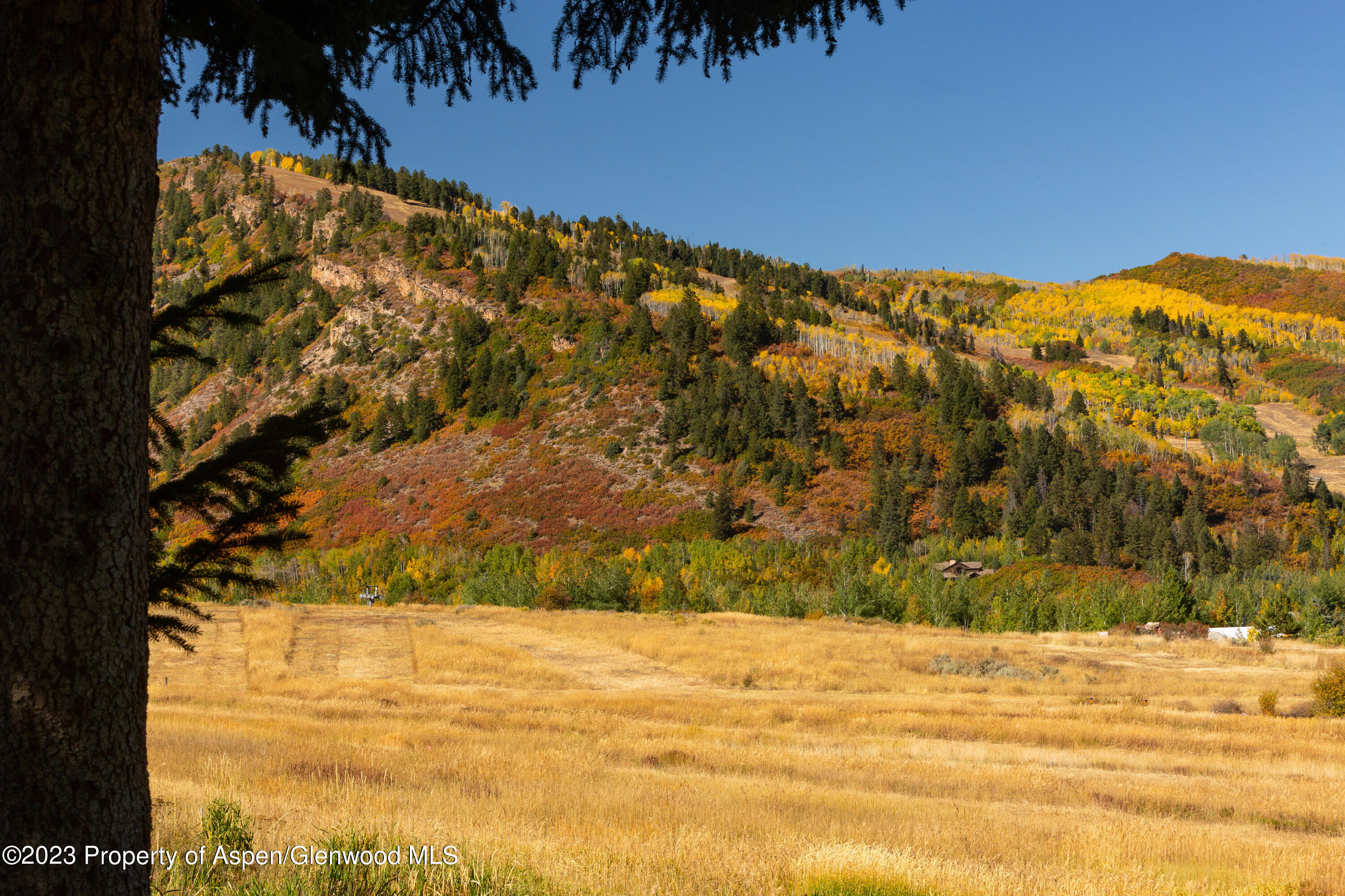 137 Primrose Path Aspen, CO 81611 - Photo 33 of 46 a view of a yard