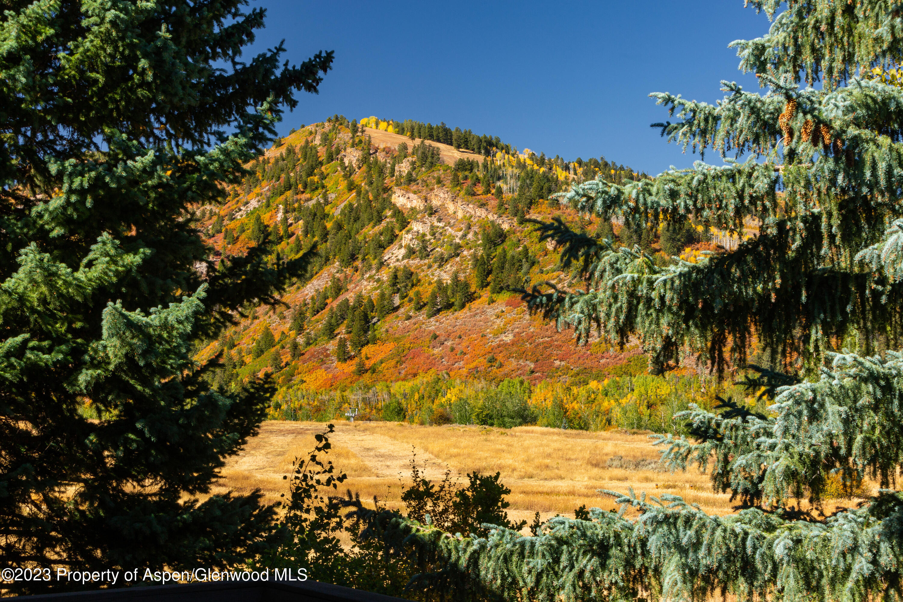137 Primrose Path Aspen, CO 81611 - Photo 41 of 46 a view of a yard