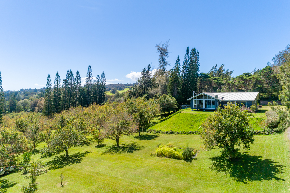 Home Overlooking the Orchard and  5.48 Acres