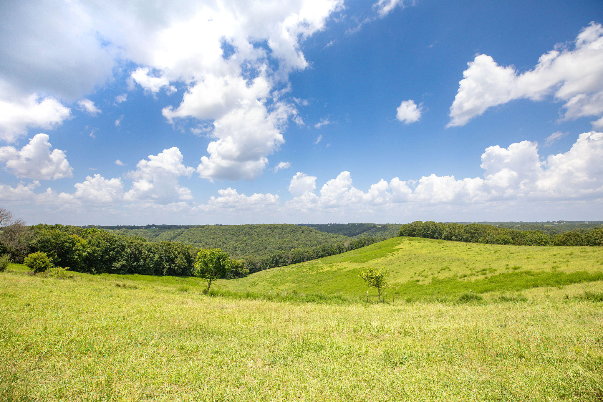 390 Acres on DewDrop, Blue Eye, MO