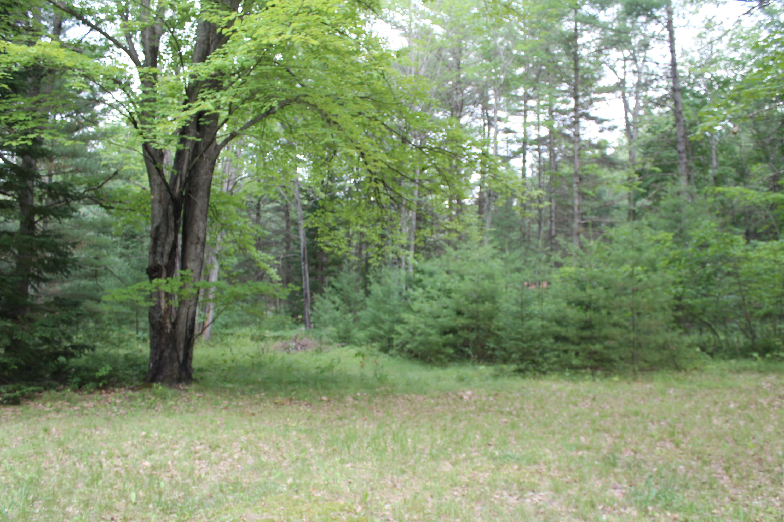 12891 Voyer Road Atlanta, MI 49709 - Photo 16 of 31 Gallery Image 16